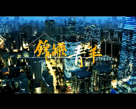 成都青羊區(qū)宣傳片